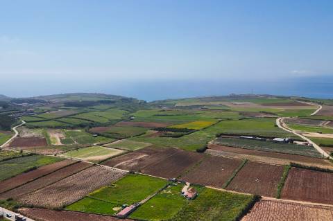 Venda de 2 Terrenos Agrícolas na zona do Paimogo, Lourinhã
