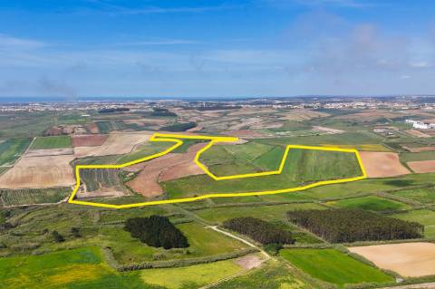 Venda de 2 Terrenos Agrícolas na zona do Paimogo, Lourinhã