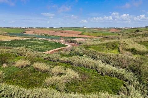 Venda de 2 Terrenos Agrícolas na zona do Paimogo, Lourinhã