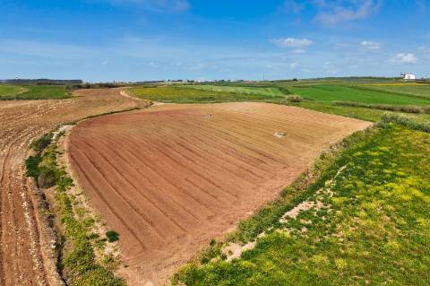 Venda de 2 Terrenos Agrícolas na zona do Paimogo, Lourinhã
