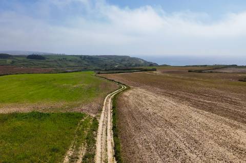 Venda de 2 Terrenos Agrícolas na zona do Paimogo, Lourinhã