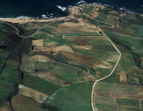 Venda de 2 Terrenos Agrícolas na zona do Paimogo, Lourinhã