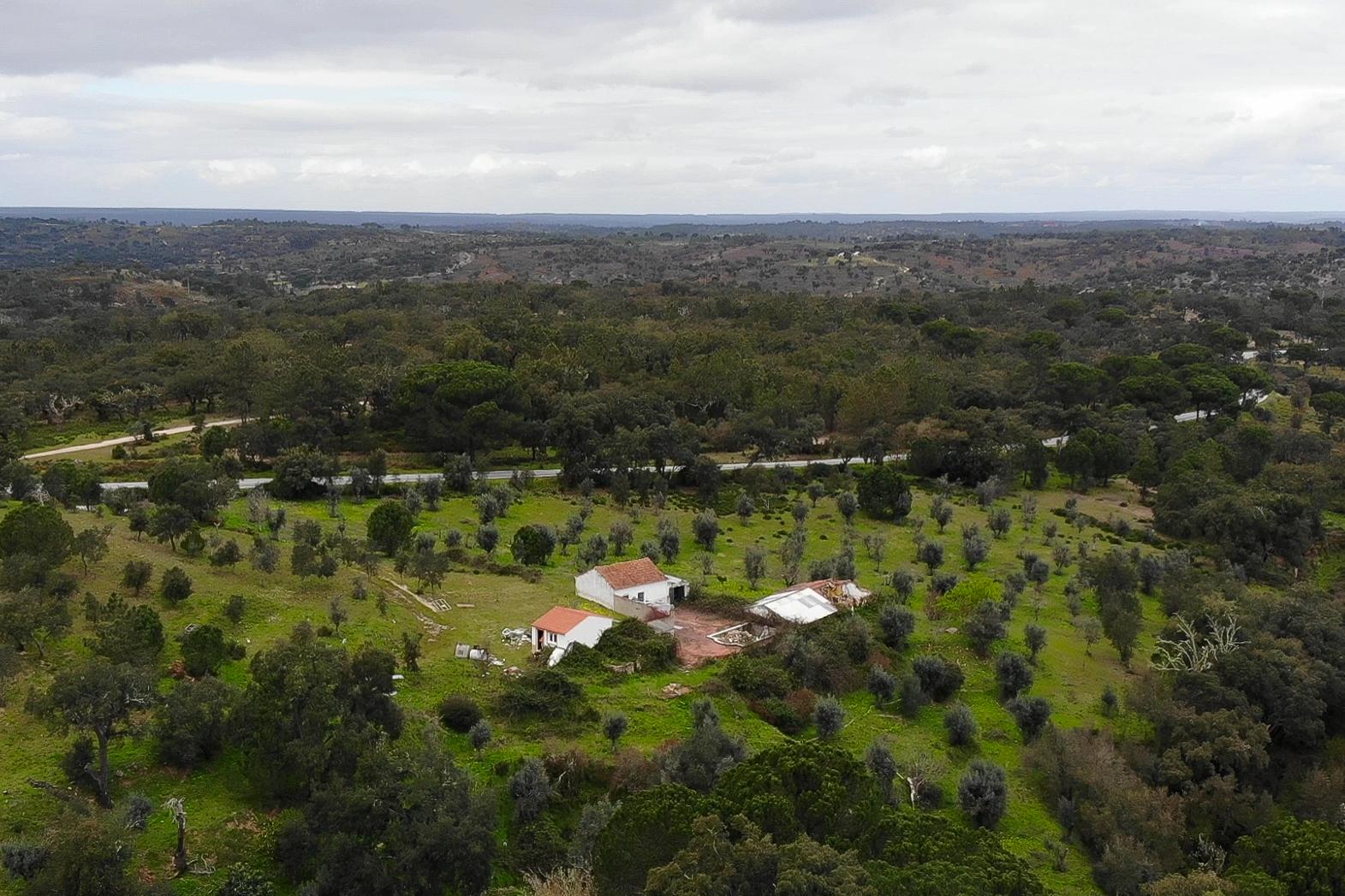 QUINTA COM 5HA DE TERRENO COM 500M2 URBANO - GALVEIAS - PONTE DE SOR
