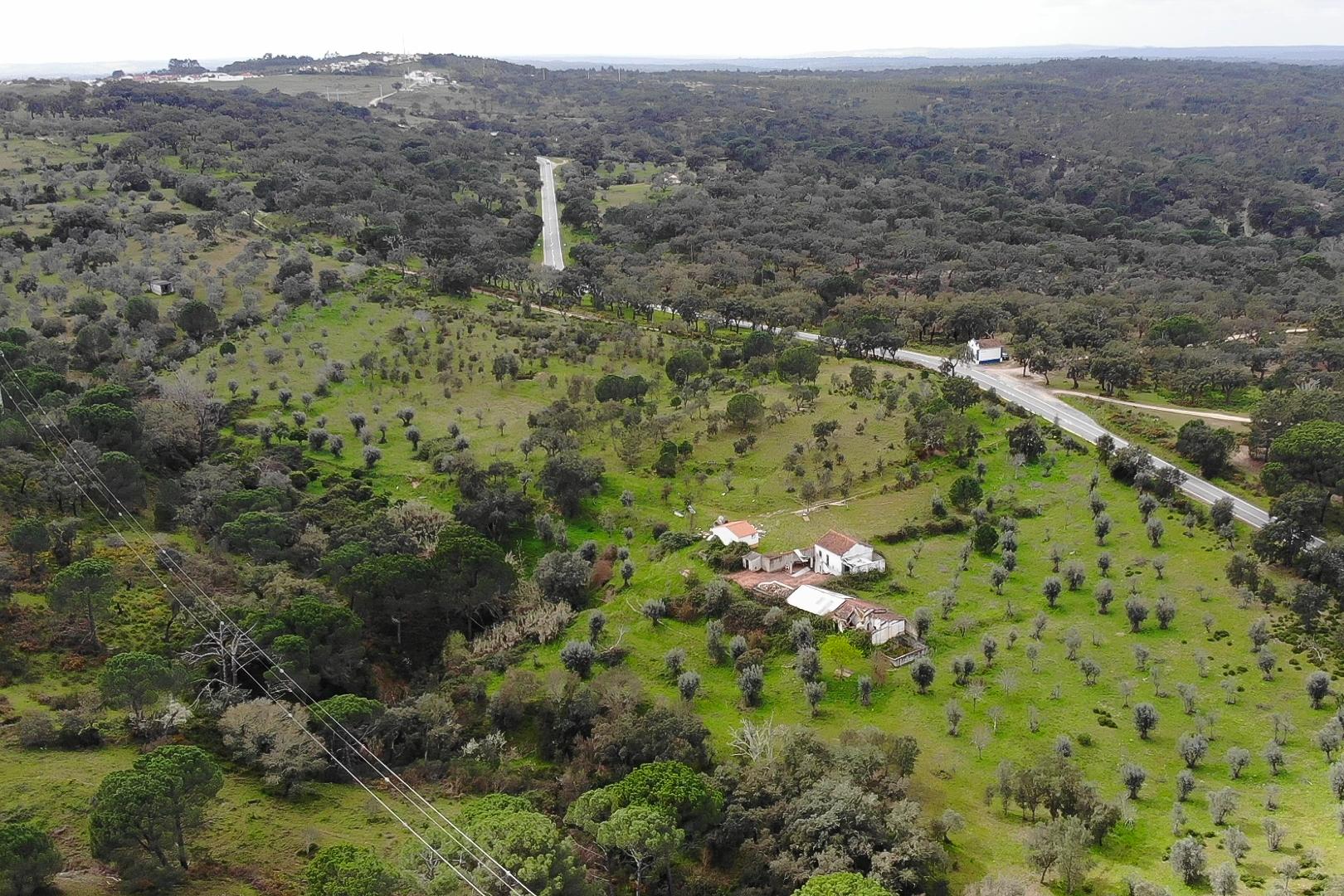 QUINTA COM 5HA DE TERRENO COM 500M2 URBANO - GALVEIAS - PONTE DE SOR