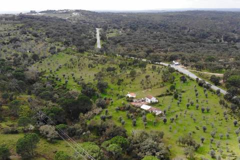 QUINTA COM 5HA DE TERRENO COM 500M2 URBANO - GALVEIAS - PONTE DE SOR