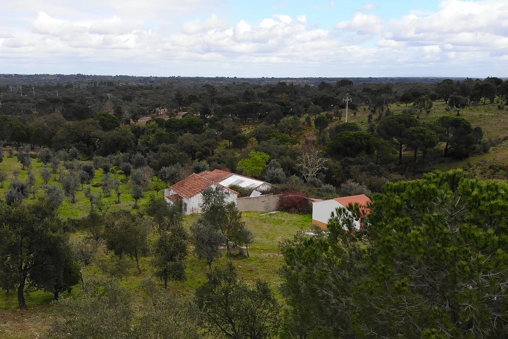 QUINTA COM 5HA DE TERRENO COM 500M2 URBANO - GALVEIAS - PONTE DE SOR