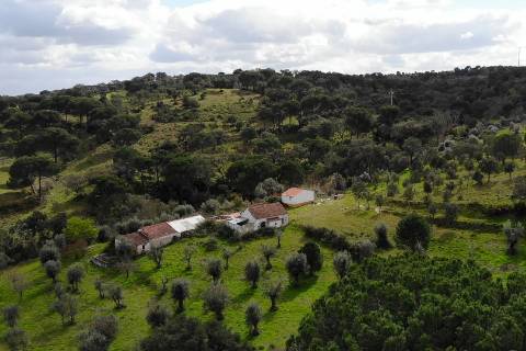 QUINTA COM 5HA DE TERRENO COM 500M2 URBANO - GALVEIAS - PONTE DE SOR