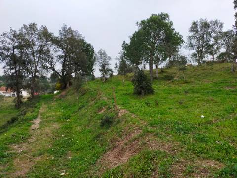 QUINTA COM 5HA DE TERRENO COM 500M2 URBANO - GALVEIAS - PONTE DE SOR