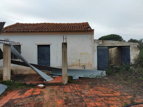 QUINTA COM 5HA DE TERRENO COM 500M2 URBANO - GALVEIAS - PONTE DE SOR