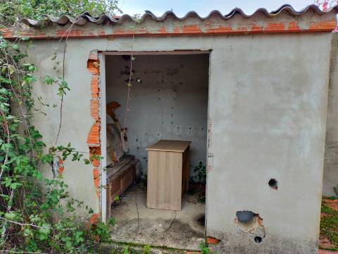 QUINTA COM 5HA DE TERRENO COM 500M2 URBANO - GALVEIAS - PONTE DE SOR