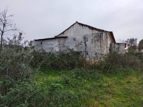 QUINTA COM 5HA DE TERRENO COM 500M2 URBANO - GALVEIAS - PONTE DE SOR