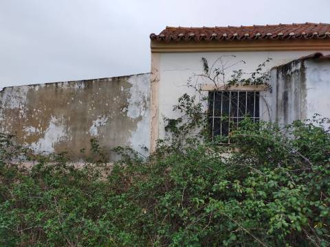 QUINTA COM 5HA DE TERRENO COM 500M2 URBANO - GALVEIAS - PONTE DE SOR