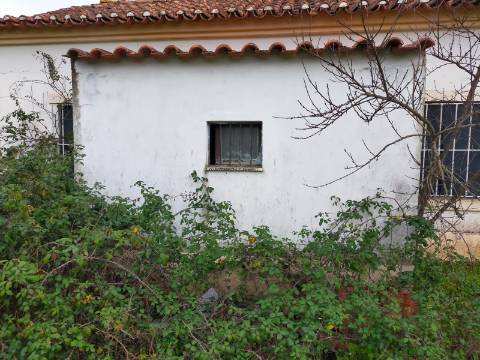 QUINTA COM 5HA DE TERRENO COM 500M2 URBANO - GALVEIAS - PONTE DE SOR