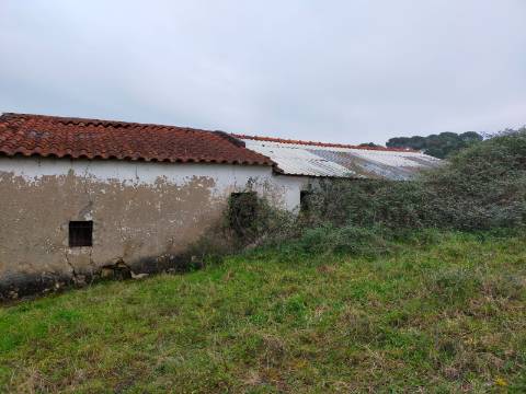 QUINTA COM 5HA DE TERRENO COM 500M2 URBANO - GALVEIAS - PONTE DE SOR