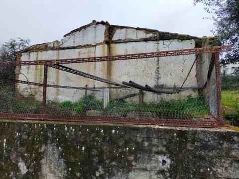 QUINTA COM 5HA DE TERRENO COM 500M2 URBANO - GALVEIAS - PONTE DE SOR