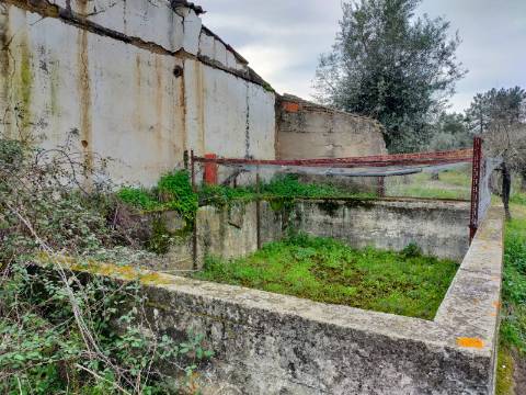 QUINTA COM 5HA DE TERRENO COM 500M2 URBANO - GALVEIAS - PONTE DE SOR