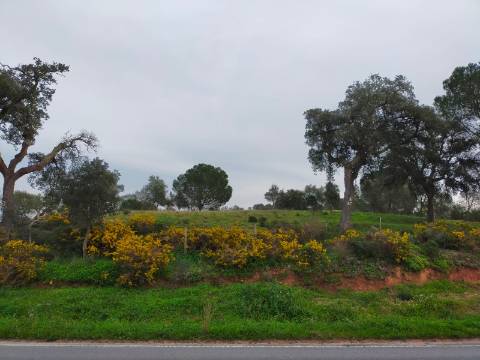 QUINTA COM 5HA DE TERRENO COM 500M2 URBANO - GALVEIAS - PONTE DE SOR