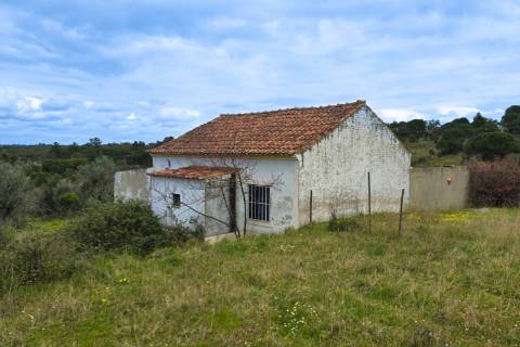 QUINTA COM 5HA DE TERRENO COM 500M2 URBANO - GALVEIAS - PONTE DE SOR