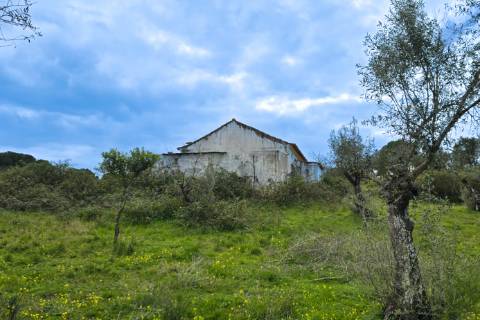 QUINTA COM 5HA DE TERRENO COM 500M2 URBANO - GALVEIAS - PONTE DE SOR