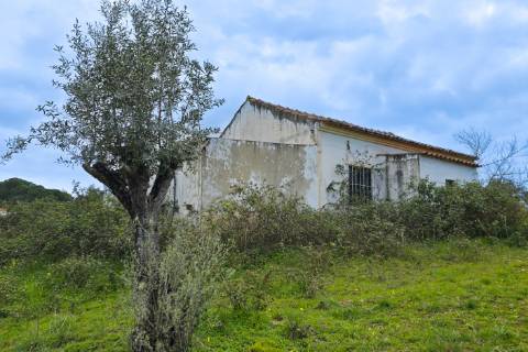 QUINTA COM 5HA DE TERRENO COM 500M2 URBANO - GALVEIAS - PONTE DE SOR