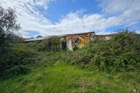 QUINTA COM 5HA DE TERRENO COM 500M2 URBANO - GALVEIAS - PONTE DE SOR