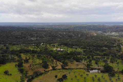 QUINTA COM 5HA DE TERRENO COM 500M2 URBANO - GALVEIAS - PONTE DE SOR