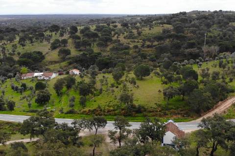 QUINTA COM 5HA DE TERRENO COM 500M2 URBANO - GALVEIAS - PONTE DE SOR