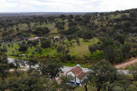 QUINTA COM 5HA DE TERRENO COM 500M2 URBANO - GALVEIAS - PONTE DE SOR