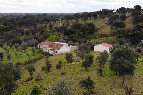 QUINTA COM 5HA DE TERRENO COM 500M2 URBANO - GALVEIAS - PONTE DE SOR