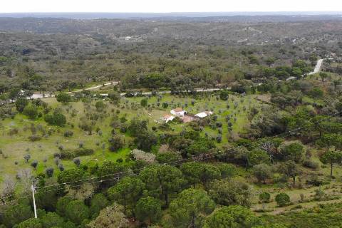 QUINTA COM 5HA DE TERRENO COM 500M2 URBANO - GALVEIAS - PONTE DE SOR