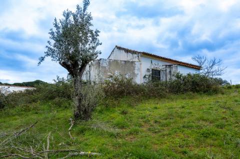 QUINTA COM 5HA DE TERRENO COM 500M2 URBANO - GALVEIAS - PONTE DE SOR