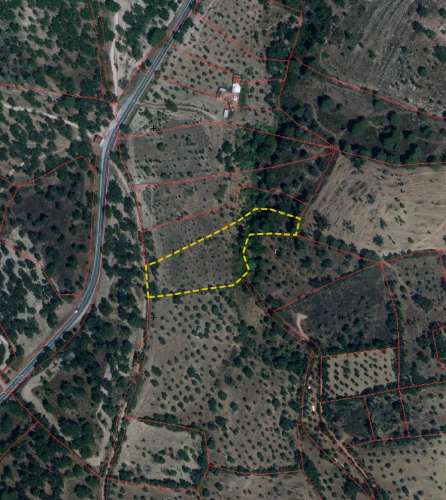 QUINTA COM 5HA DE TERRENO COM 500M2 URBANO - GALVEIAS - PONTE DE SOR