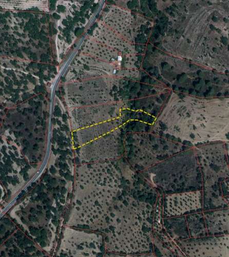 QUINTA COM 5HA DE TERRENO COM 500M2 URBANO - GALVEIAS - PONTE DE SOR