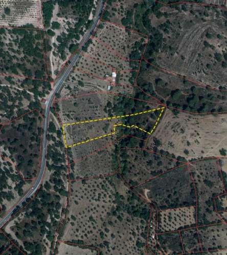 QUINTA COM 5HA DE TERRENO COM 500M2 URBANO - GALVEIAS - PONTE DE SOR