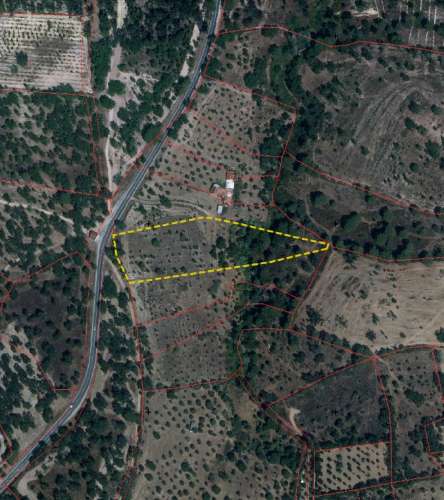 QUINTA COM 5HA DE TERRENO COM 500M2 URBANO - GALVEIAS - PONTE DE SOR