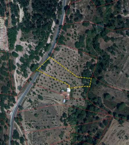 QUINTA COM 5HA DE TERRENO COM 500M2 URBANO - GALVEIAS - PONTE DE SOR