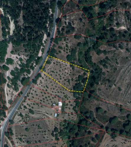 QUINTA COM 5HA DE TERRENO COM 500M2 URBANO - GALVEIAS - PONTE DE SOR