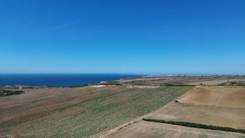 Oportunidade Única: Terreno Premium Junto ao Forte de Paimogo