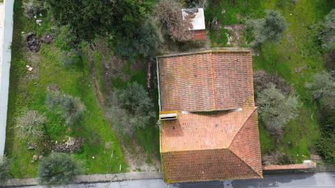 Quinta para Venda na Aldeia do Futuro - Grândola