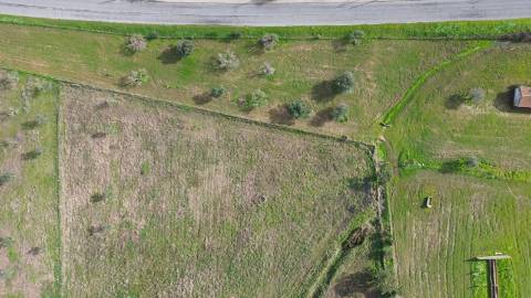 Quinta para Venda na Aldeia do Futuro - Grândola