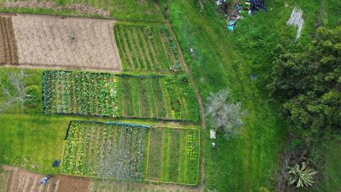 Quinta para Venda na Aldeia do Futuro - Grândola