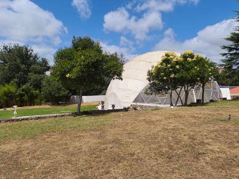 Quinta com Alojamento Turístico para Venda no Fiandal em Alenquer