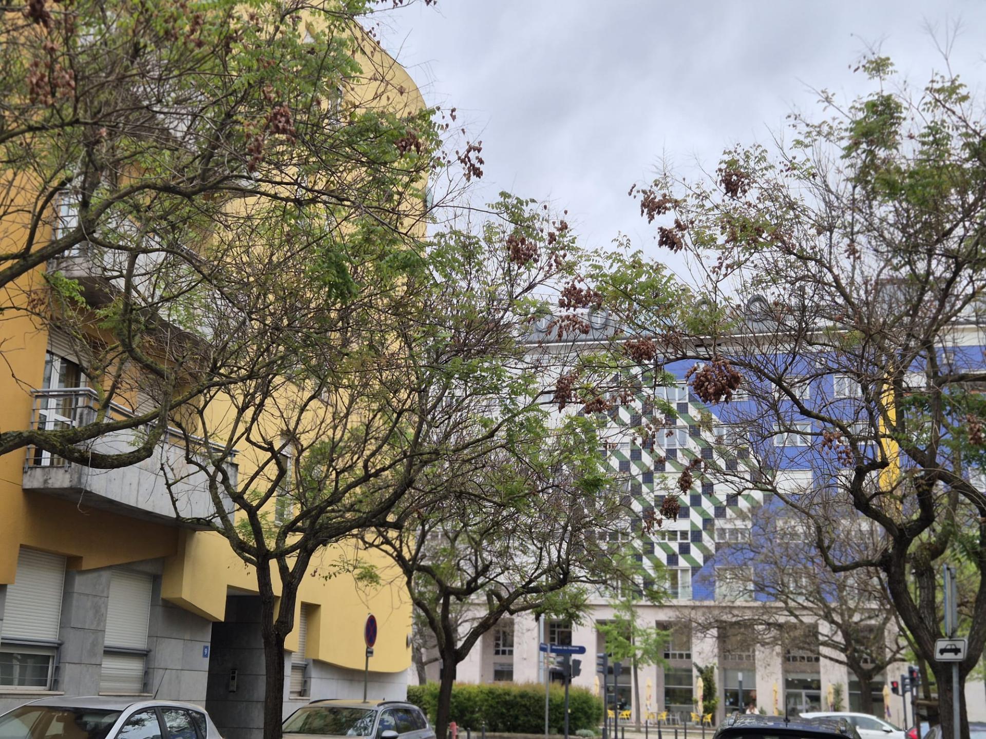 Excelente Apartamento T4 para Arrendamento - Parque das Nações | Rua da Nau Catrineta