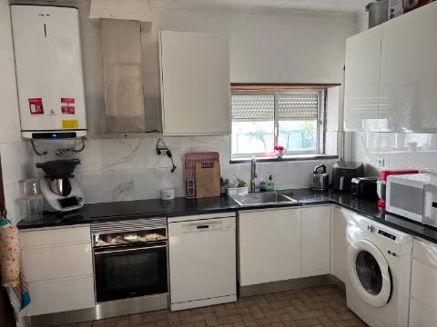 Venda de Quinta com Casa T4, Adega, Lagar e Terreno com Árvores de Fruto em Casével - Santarém
