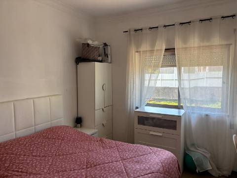 Venda de Quinta com Casa T4, Adega, Lagar e Terreno com Árvores de Fruto em Casével - Santarém
