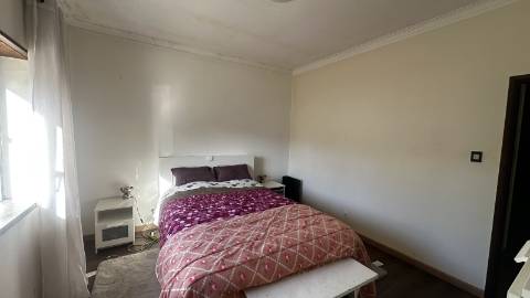 Venda de Quinta com Casa T4, Adega, Lagar e Terreno com Árvores de Fruto em Casével - Santarém
