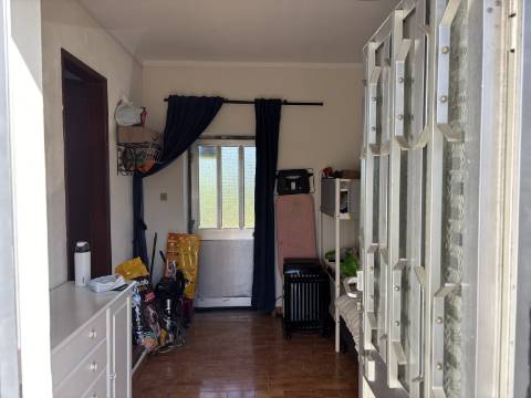 Venda de Quinta com Casa T4, Adega, Lagar e Terreno com Árvores de Fruto em Casével - Santarém
