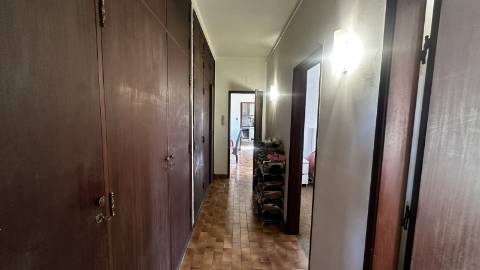 Venda de Quinta com Casa T4, Adega, Lagar e Terreno com Árvores de Fruto em Casével - Santarém
