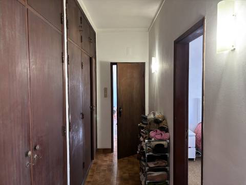 Venda de Quinta com Casa T4, Adega, Lagar e Terreno com Árvores de Fruto em Casével - Santarém
