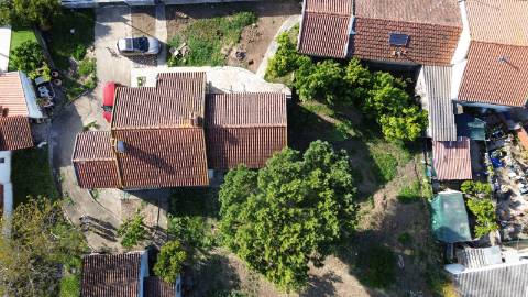 Venda de Quinta com Casa T4, Adega, Lagar e Terreno com Árvores de Fruto em Casével - Santarém
